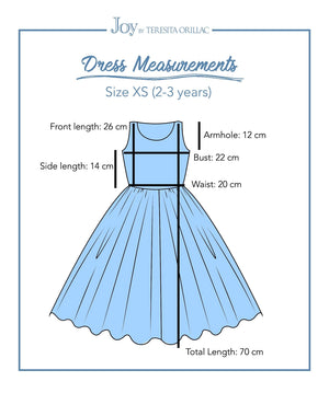 Princess Cinderella  Blue Costume Dress