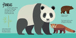 Panoramic Pop-Ups: Wild Animals