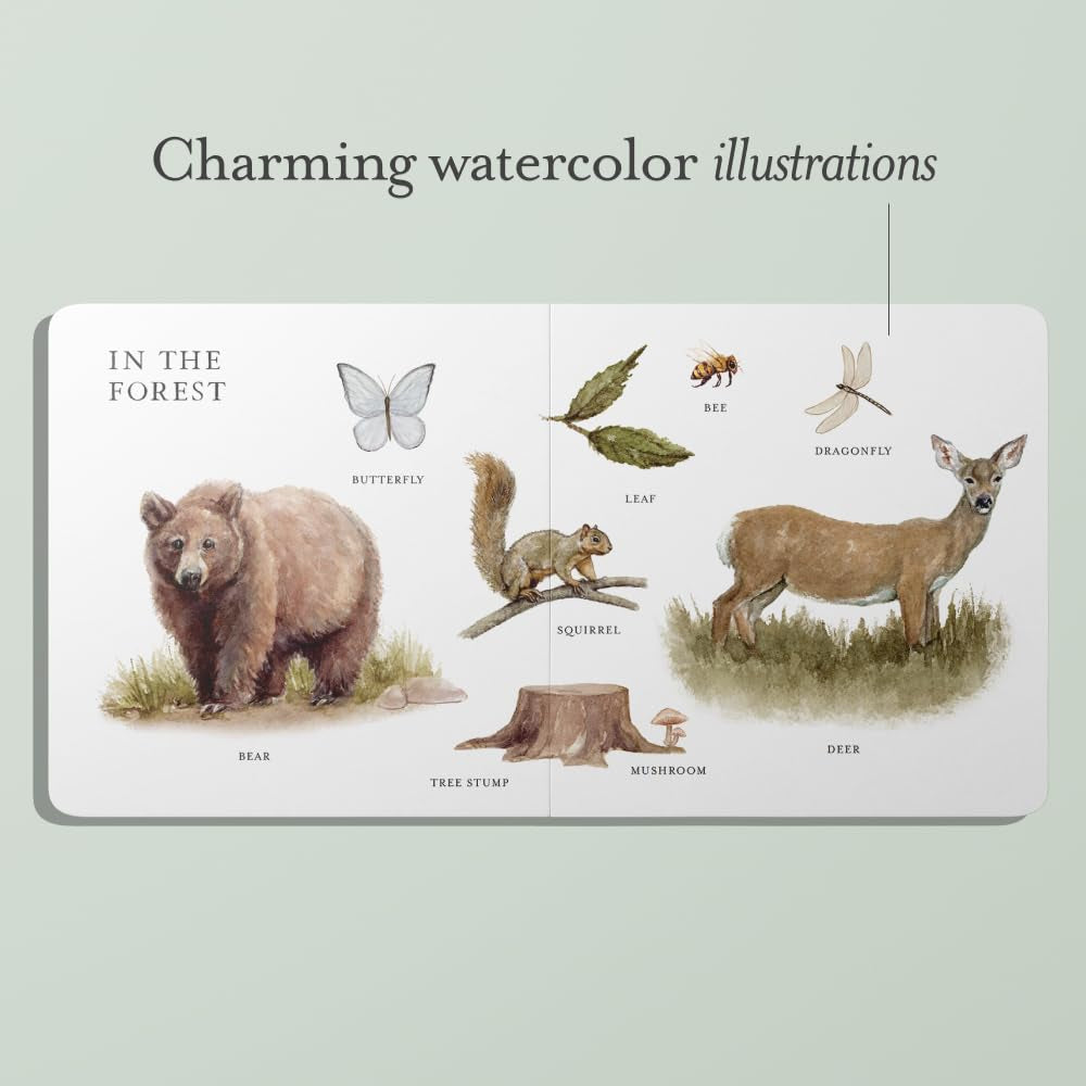 Our Big Book of Words