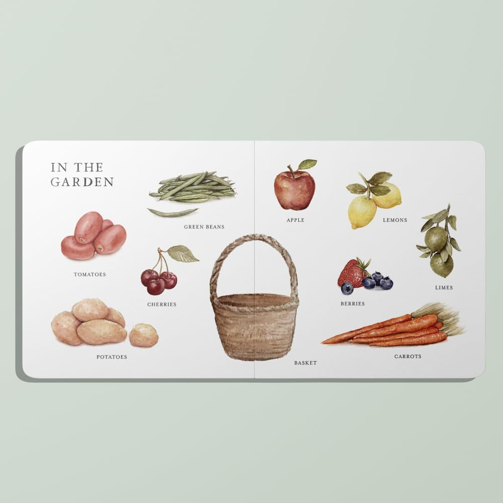 Our Big Book of Words