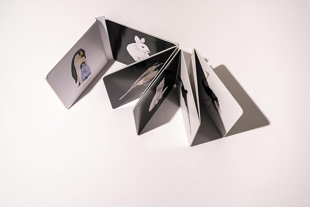 Baby’s Black & White Contrast Book