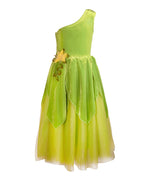The Frog Princess or Tinker Fairy Costume Dress
