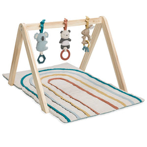 
            
                Load image into Gallery viewer, Rainbow Ritzy Activity Gym™ Wooden Gym
            
        