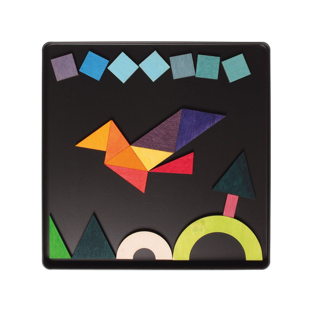 Magnet Puzzle Geo-Graphical