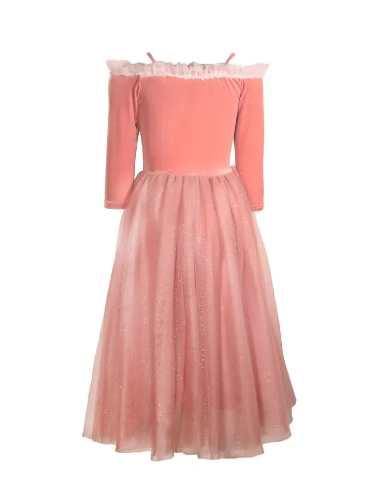 Princess Briar Rose Pink Costume Dress