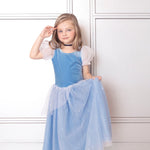 Princess Cinderella  Blue Costume Dress