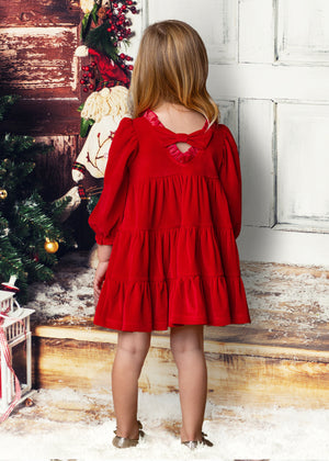 
            
                Load image into Gallery viewer, Noella Long Sleeve Velvet Dress
            
        