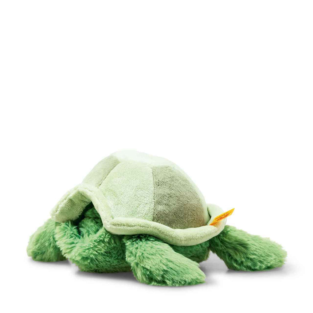 Tuggy Tortoise