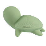 Organic Teether, Rattle & Bath Toy - Turtle