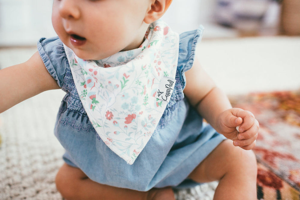 
            
                Load image into Gallery viewer, Bandana Bibs - Claire
            
        